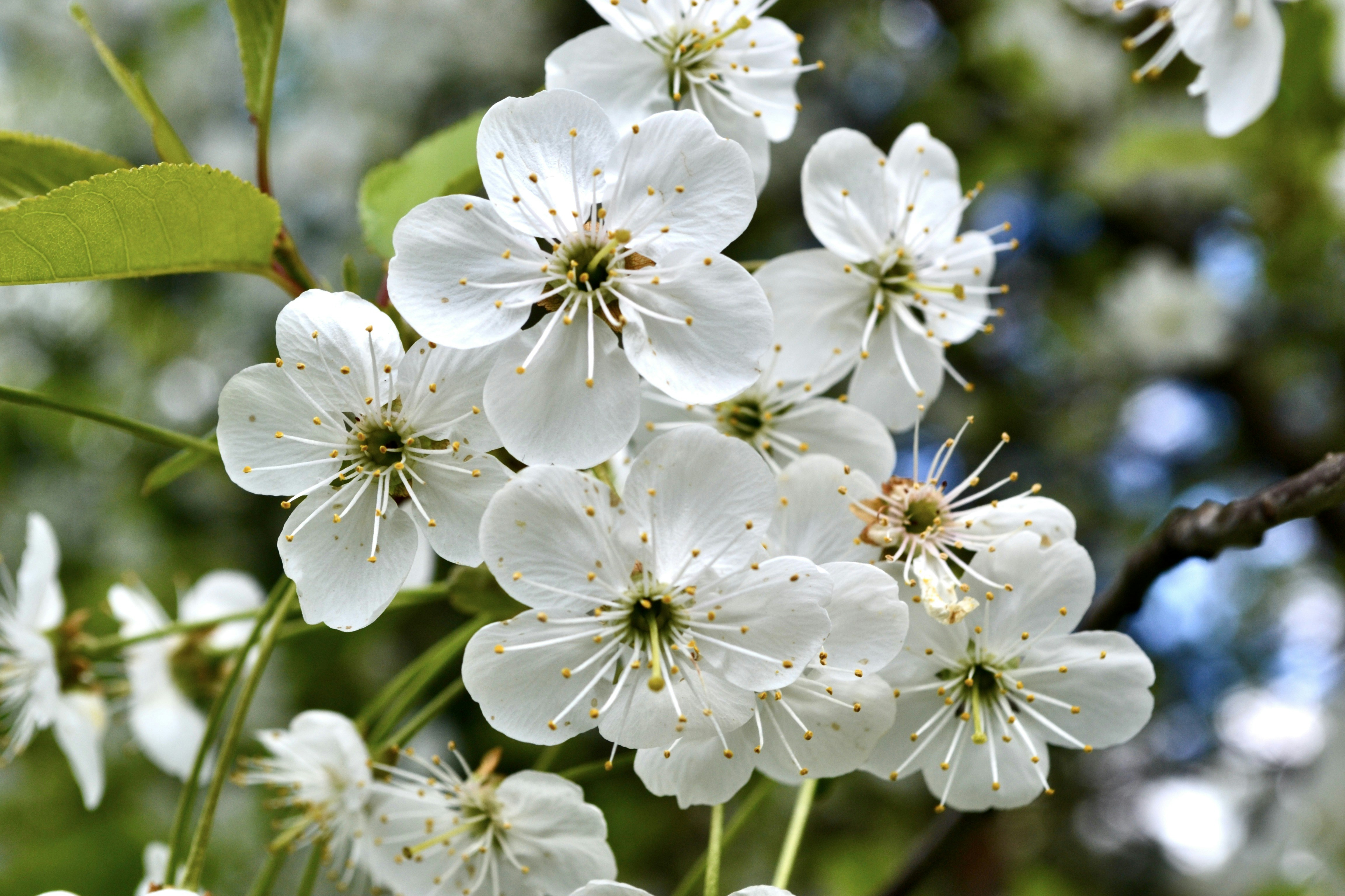 Photo by evgenslavin