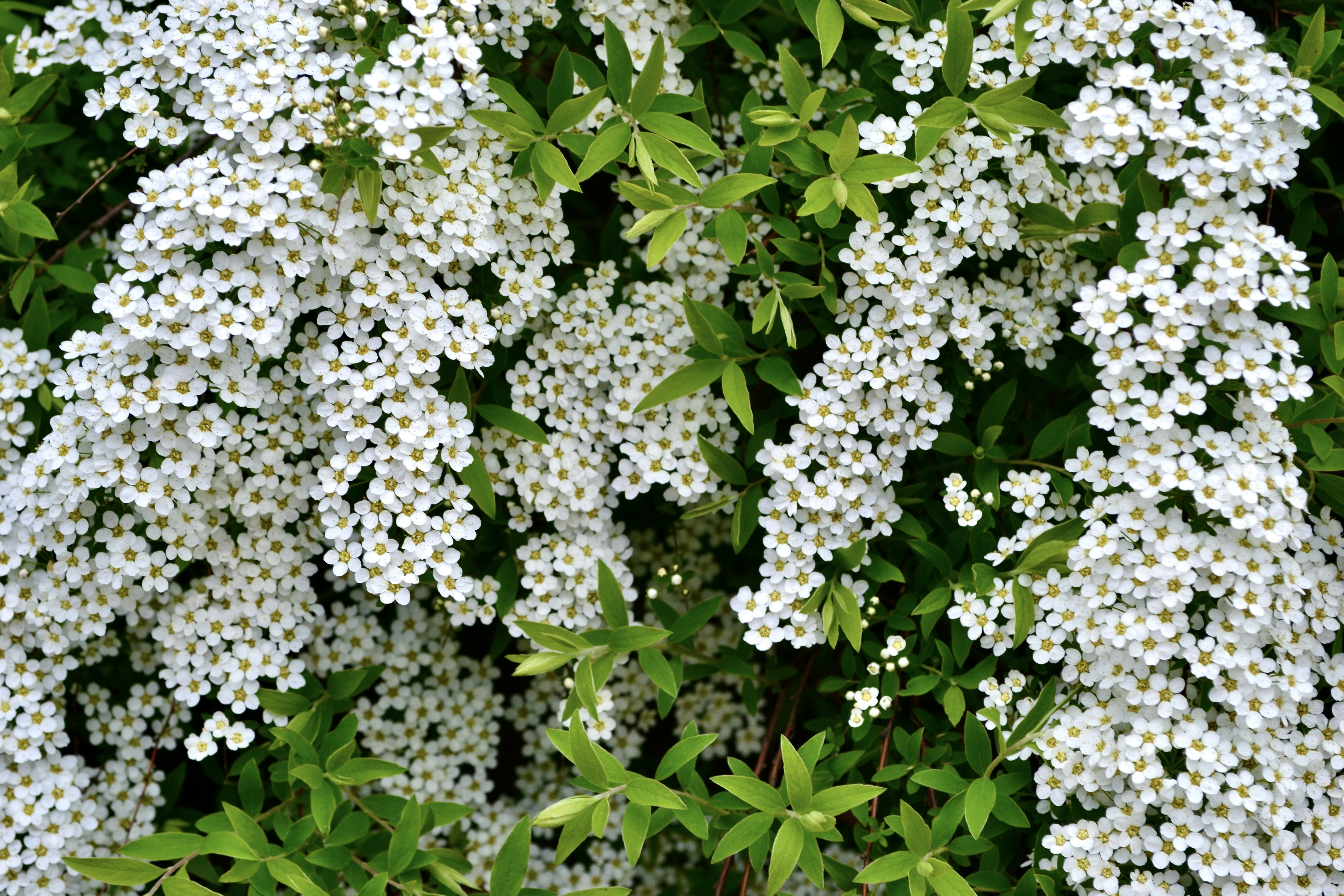 Photo by evgenslavin