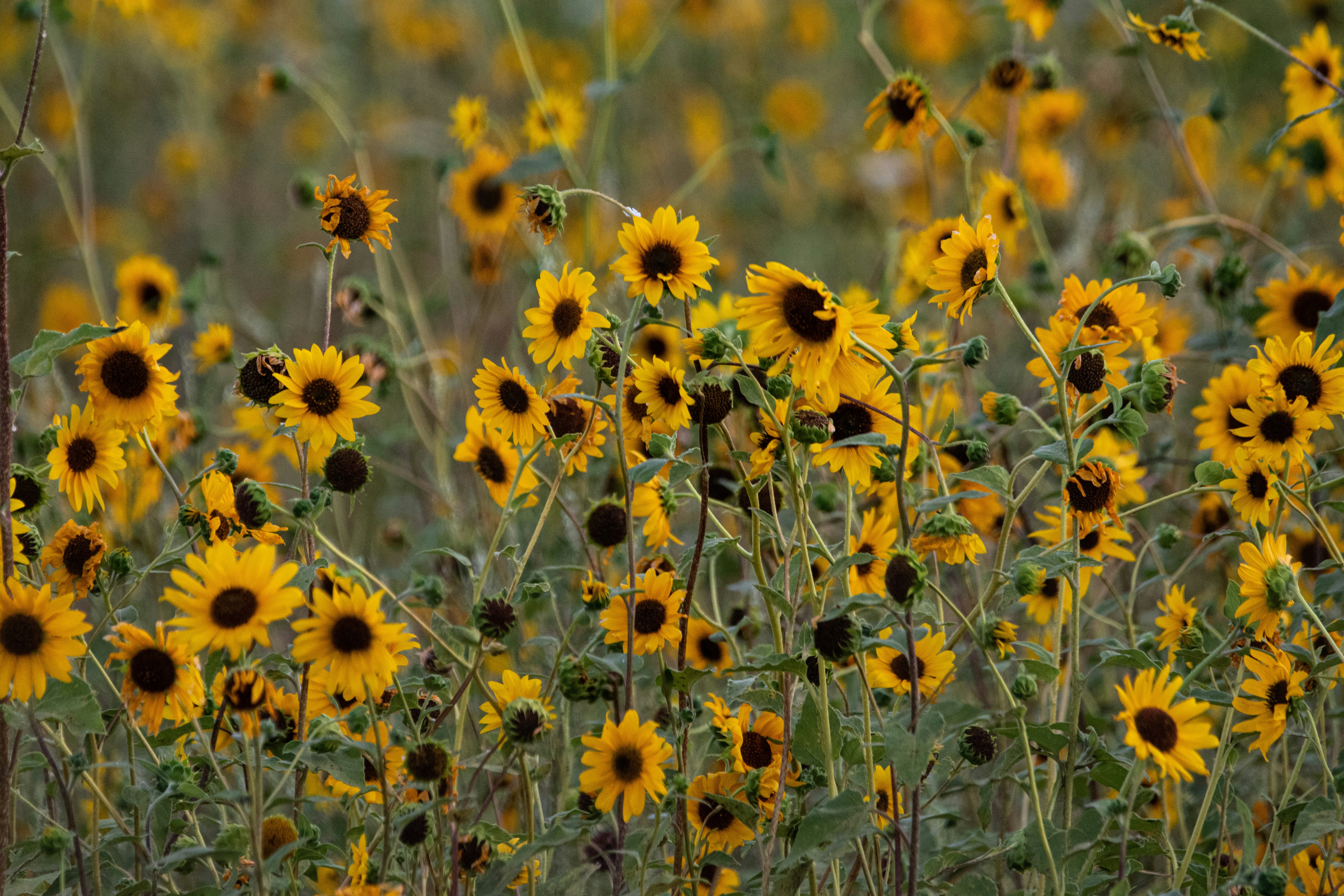 Photo by elisastonephotography