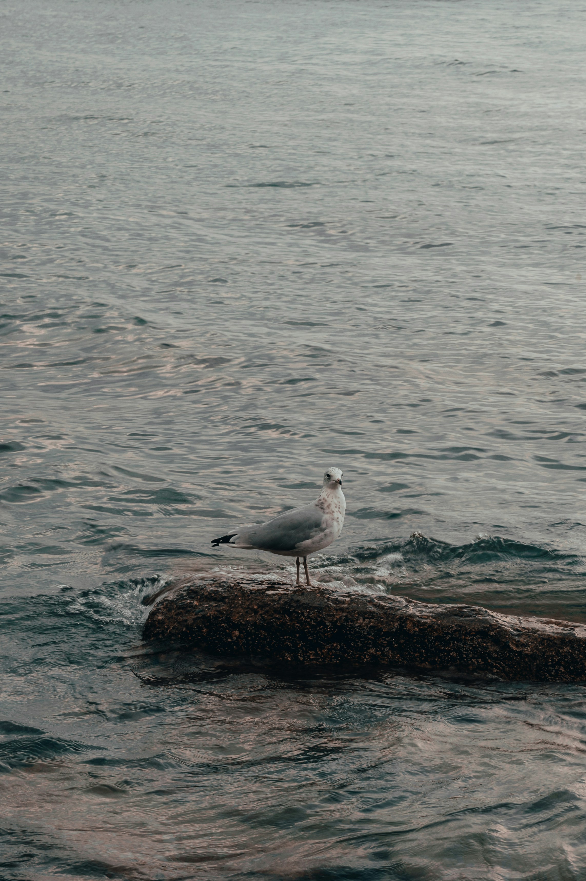 Photo by mariahhewines