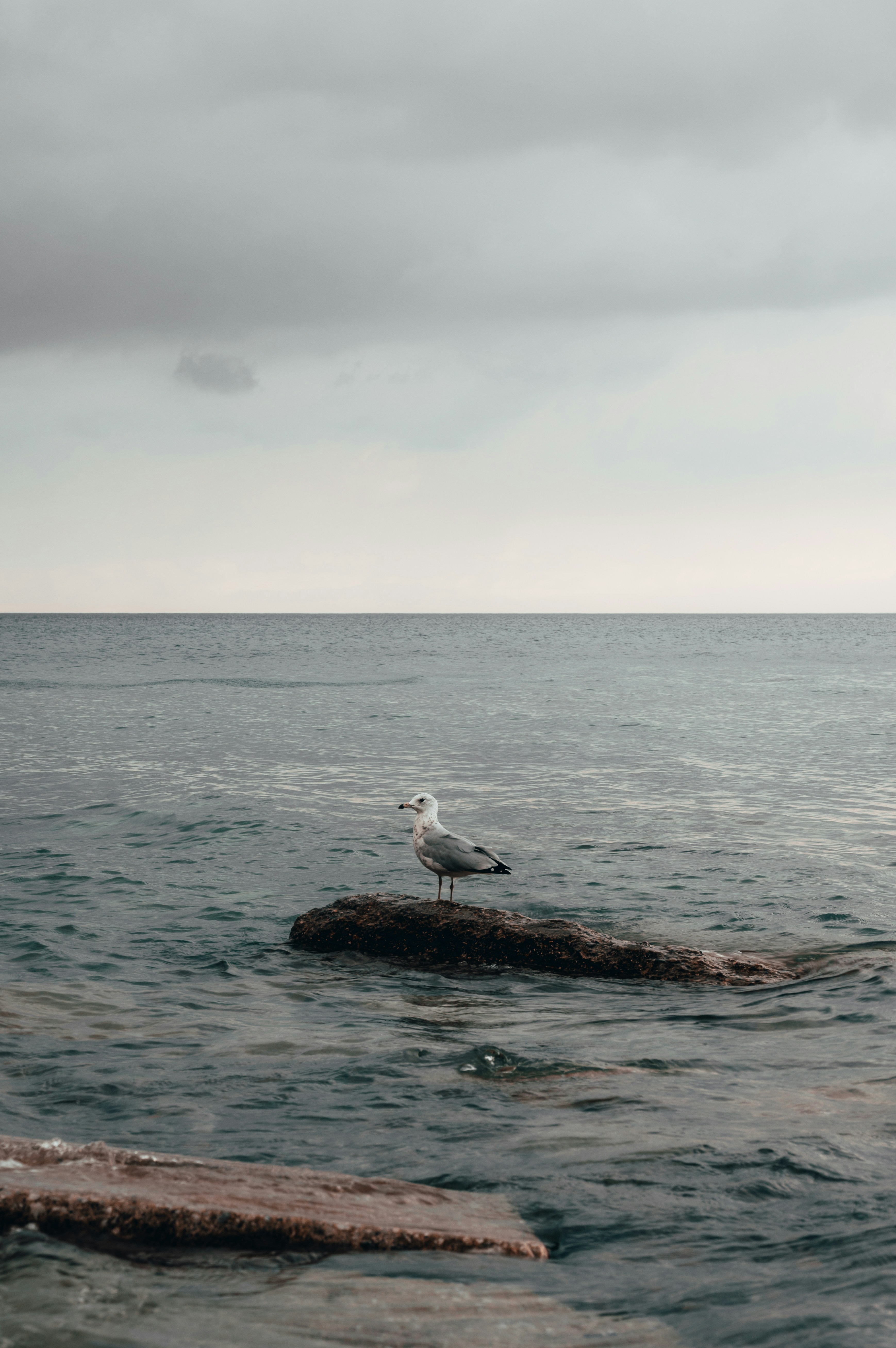 Photo by mariahhewines