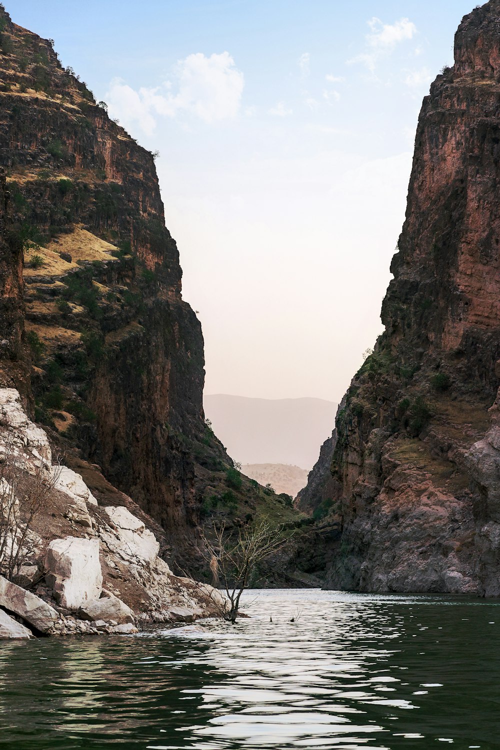 a body of water with a rocky cliff and trees on the side