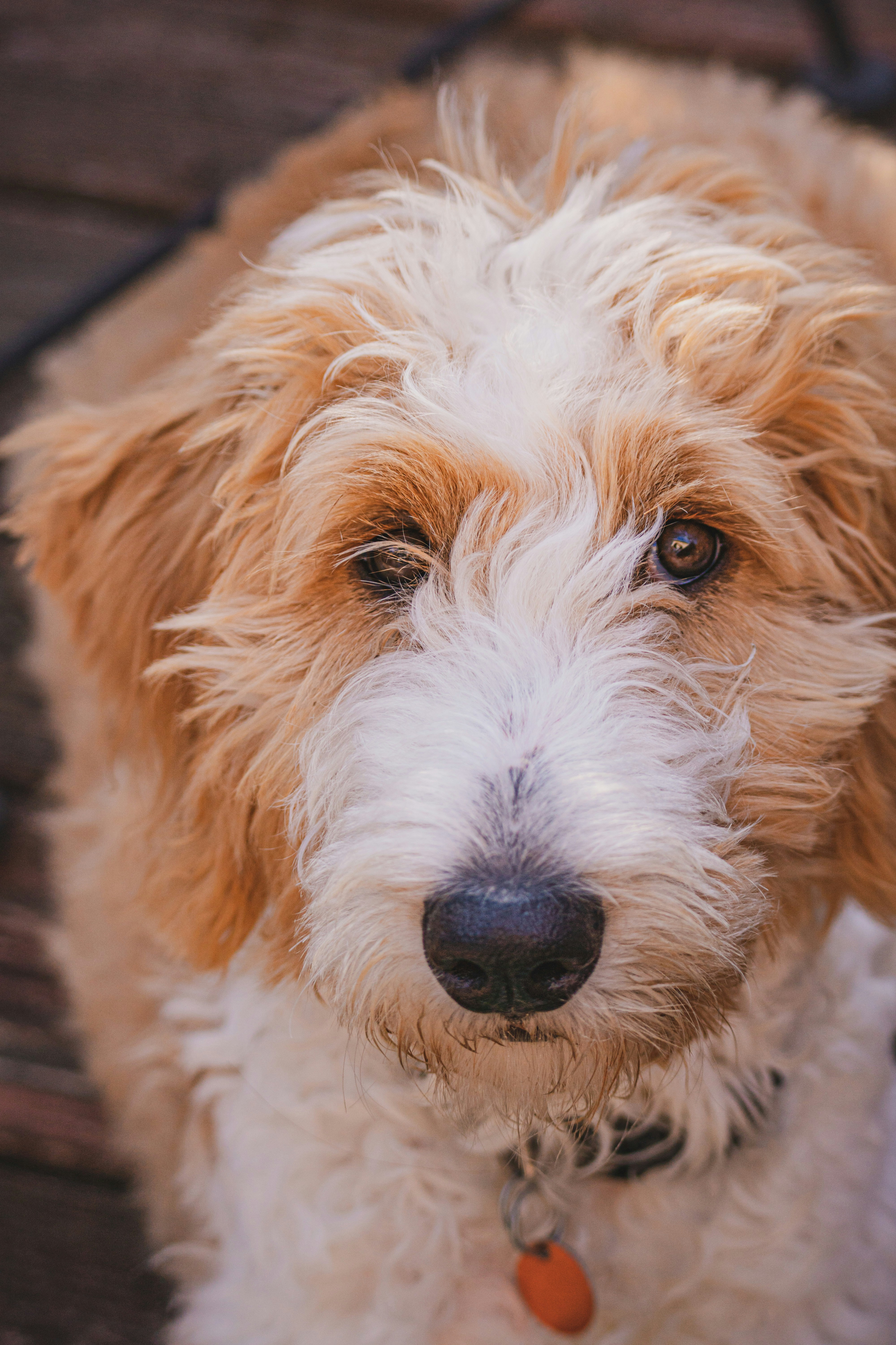 Photo by keepitchassephotography