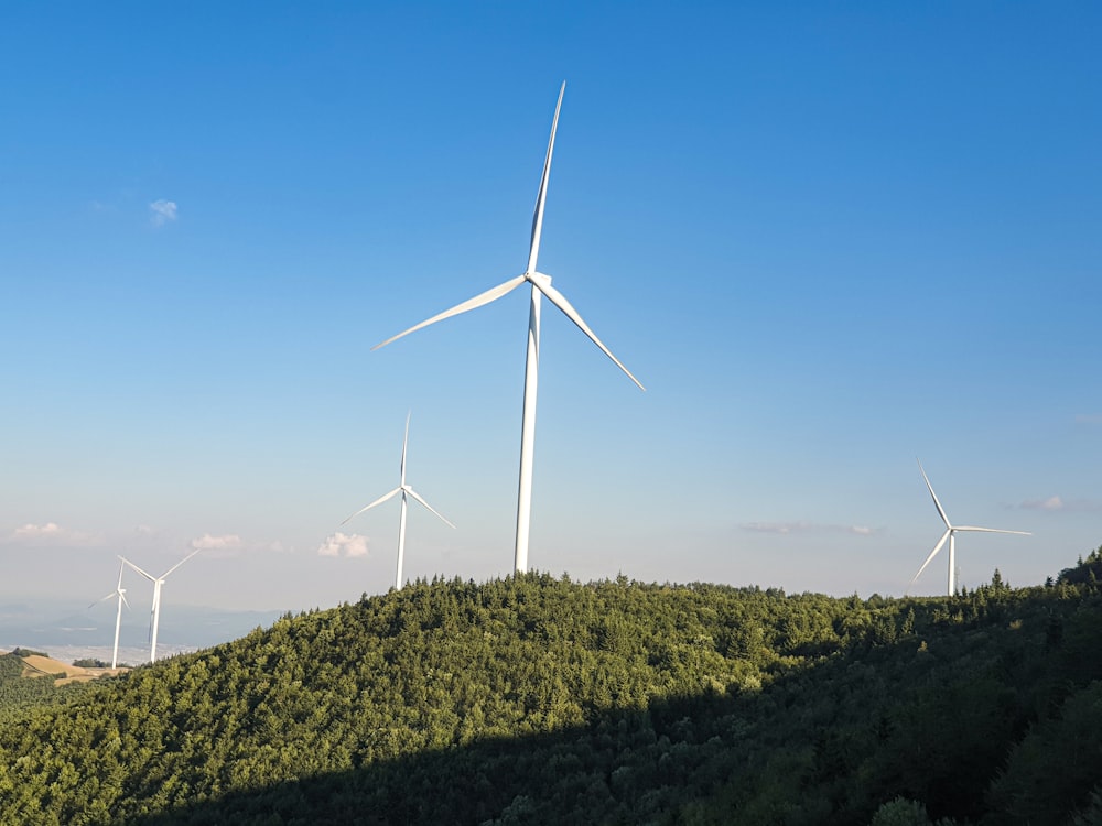 a group of wind turbines with Albany Wind Farm in the background