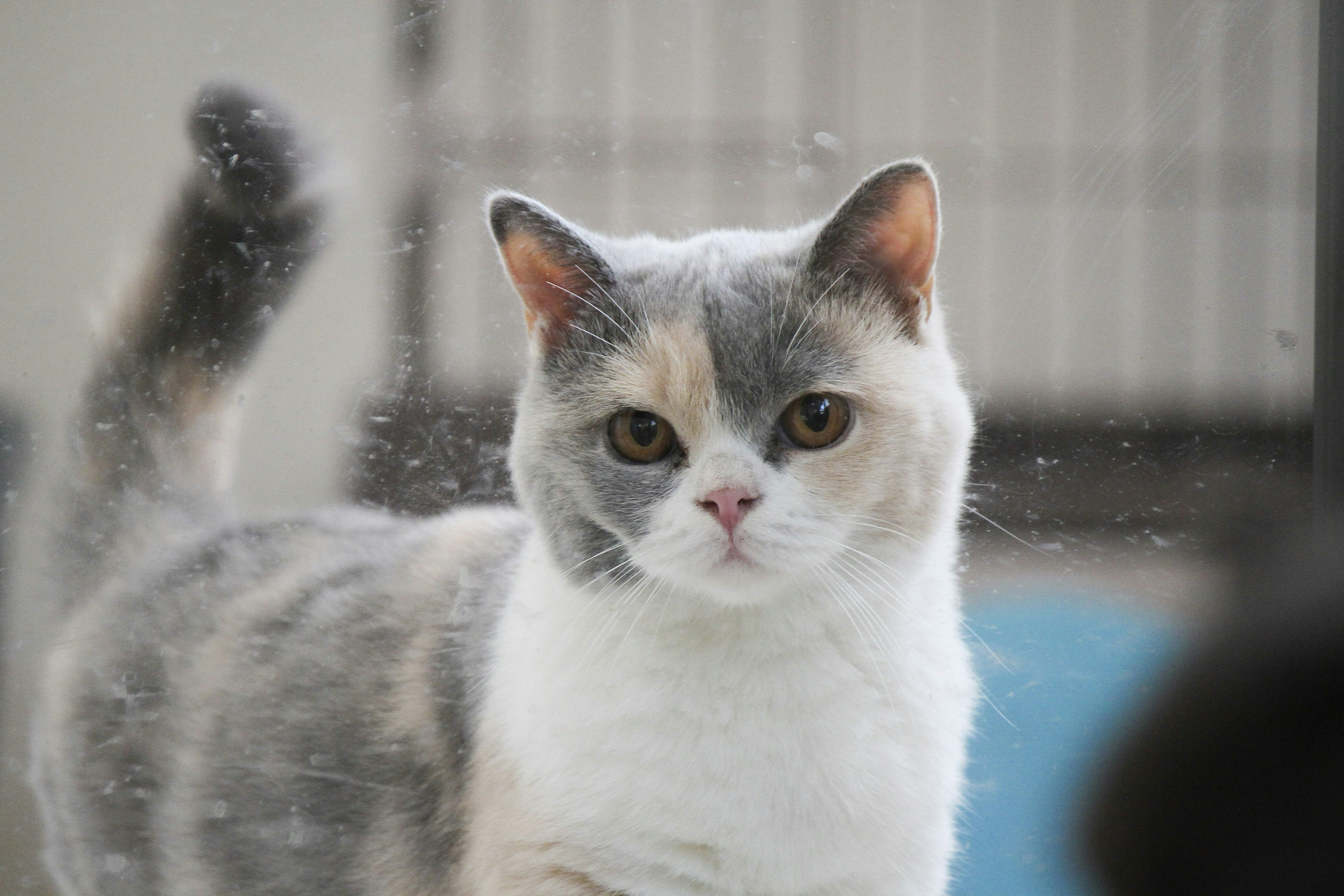 Photo by hariyana1960