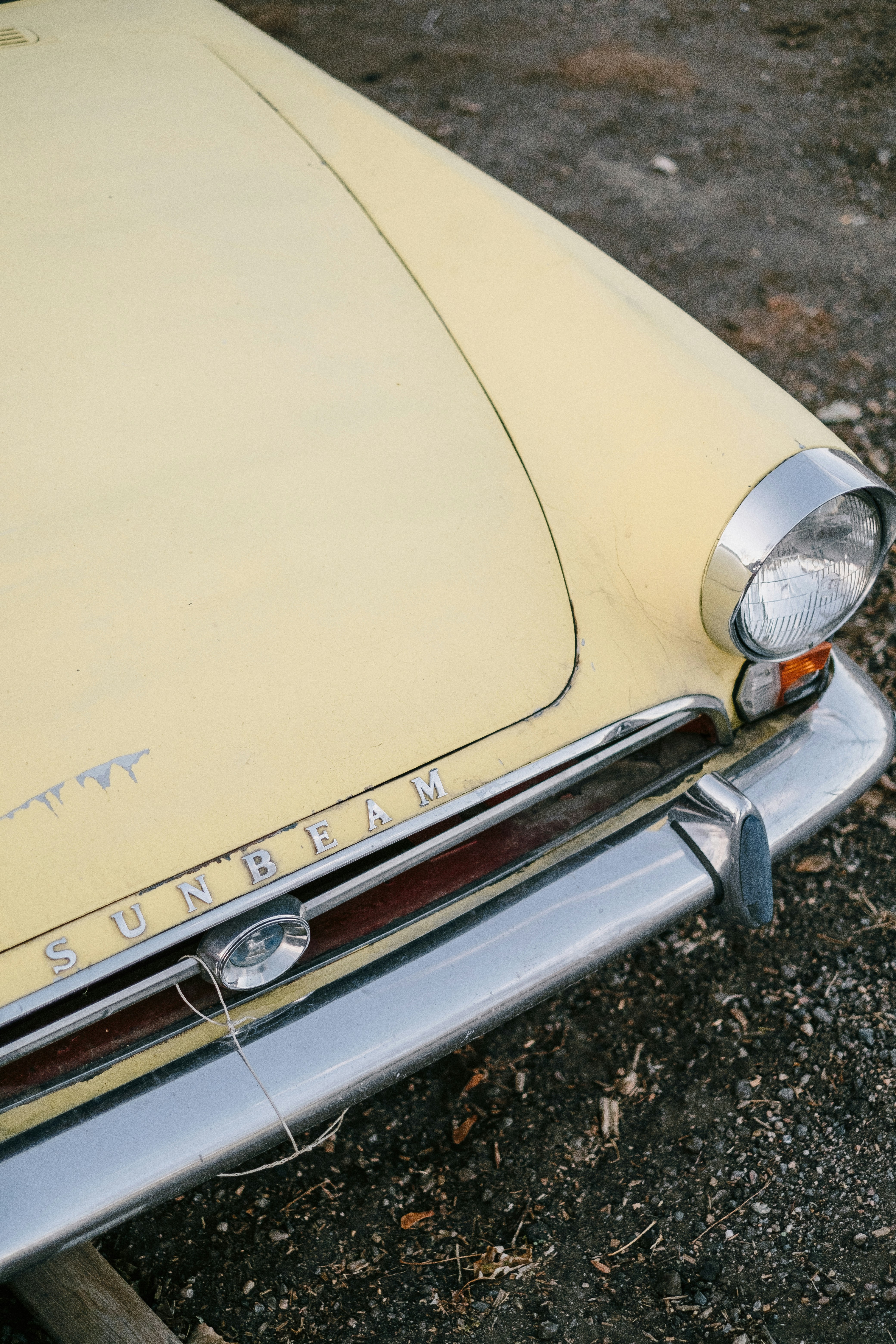 Photo by dillydallying