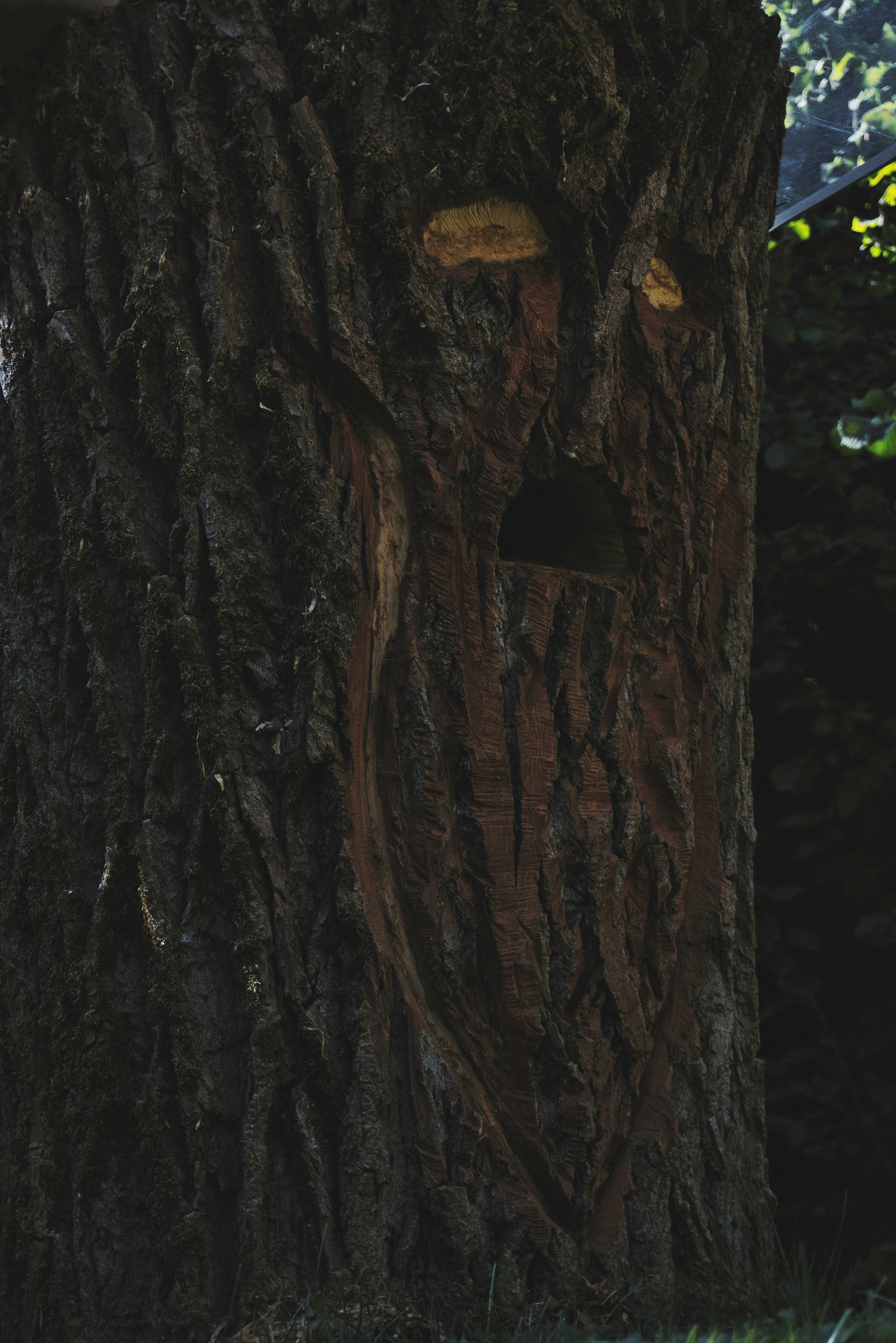 Photo by richyb_production