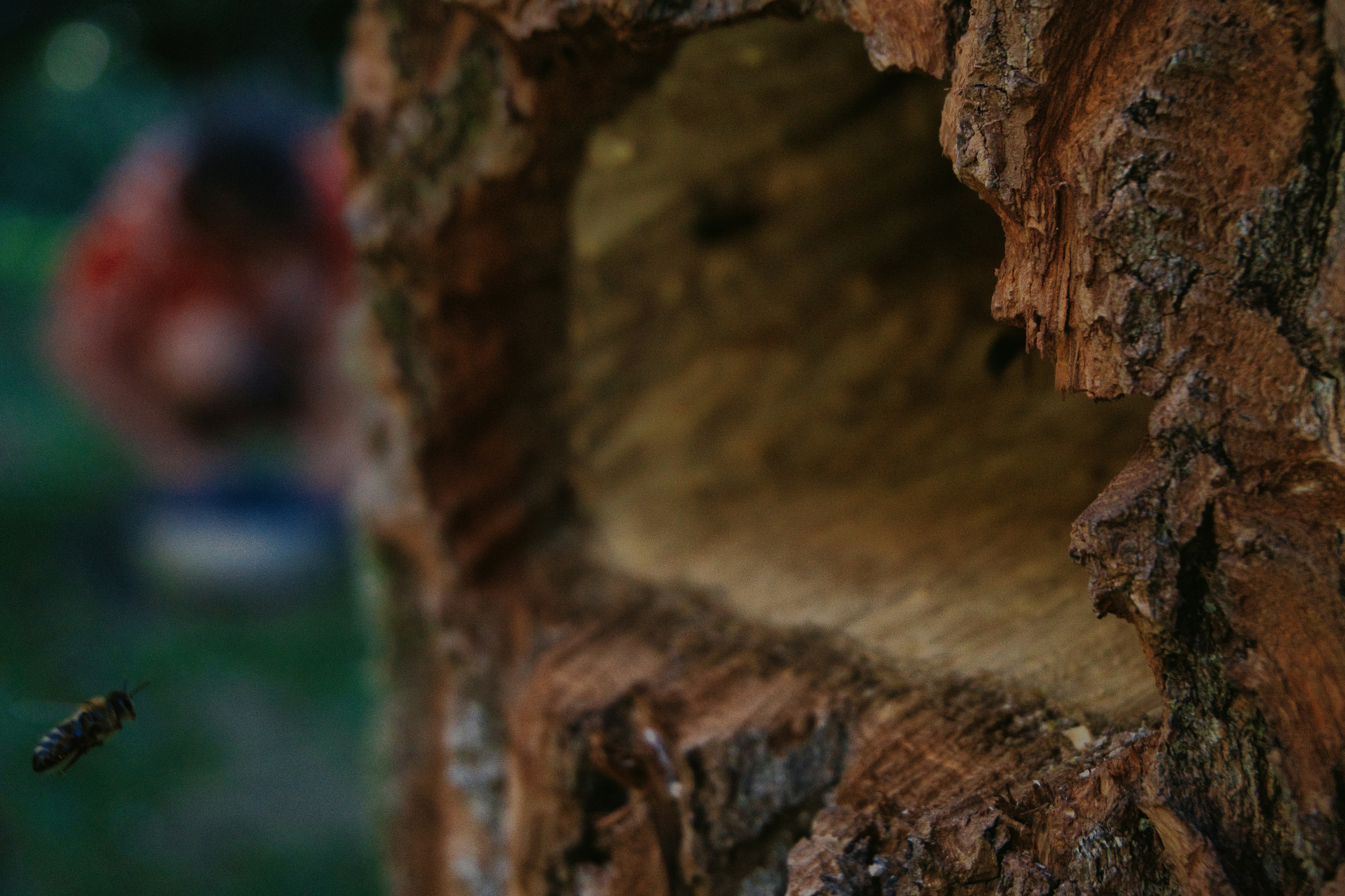 Photo by richyb_production