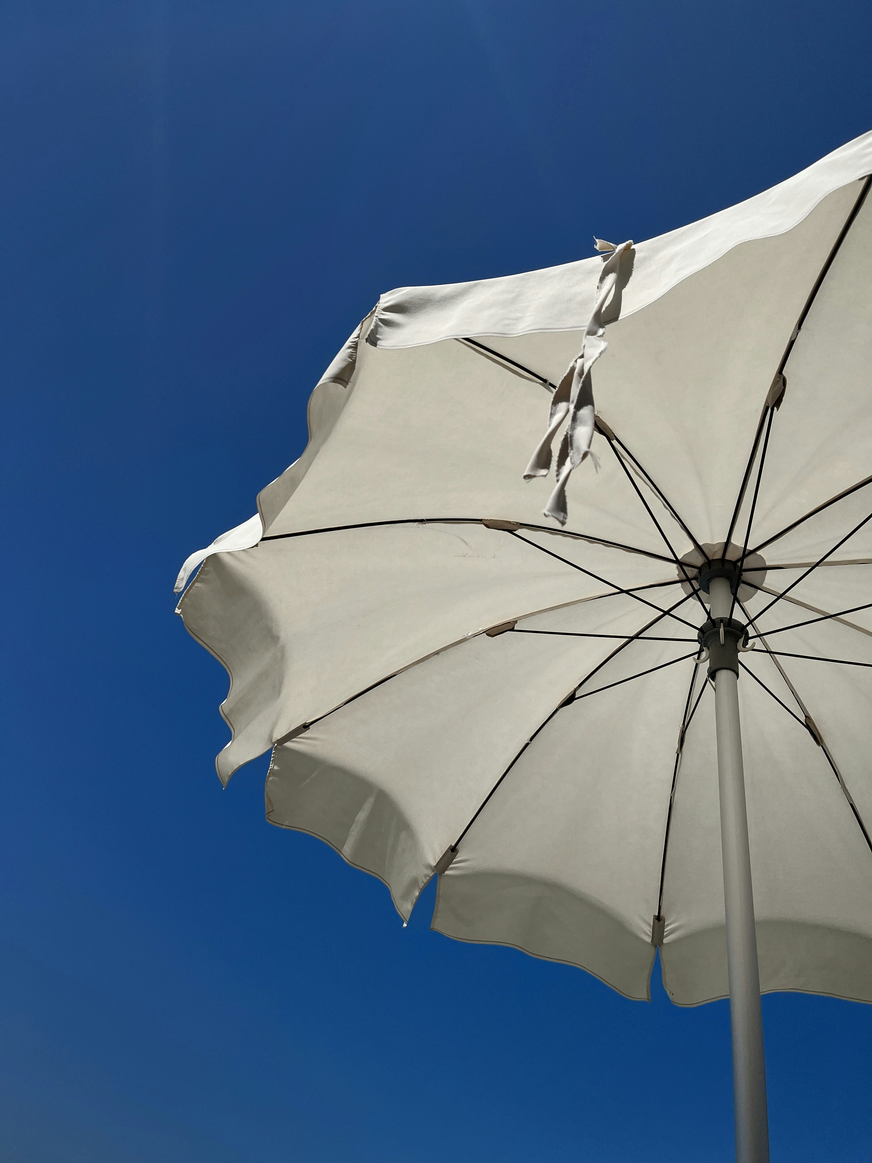 Photo by vallentinalesnyak