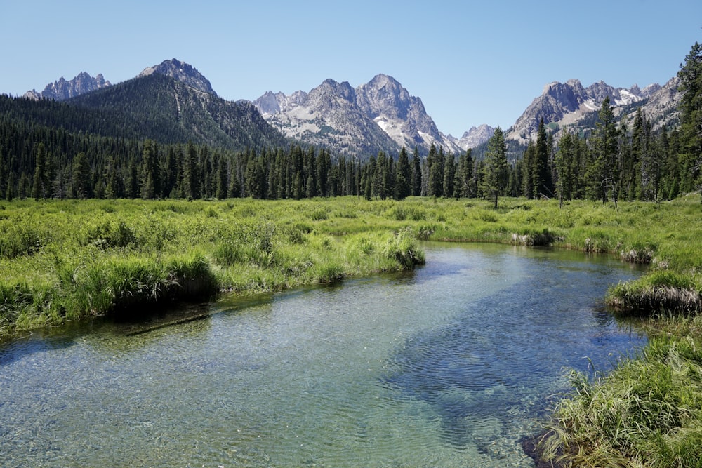 a river with trees and mountains in the background