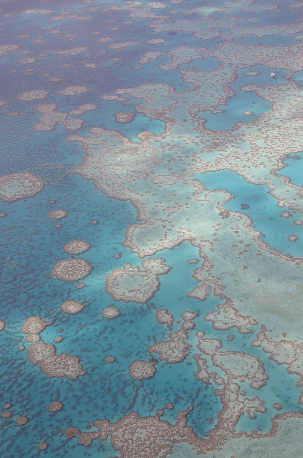 a body of water with rocks and plants around it