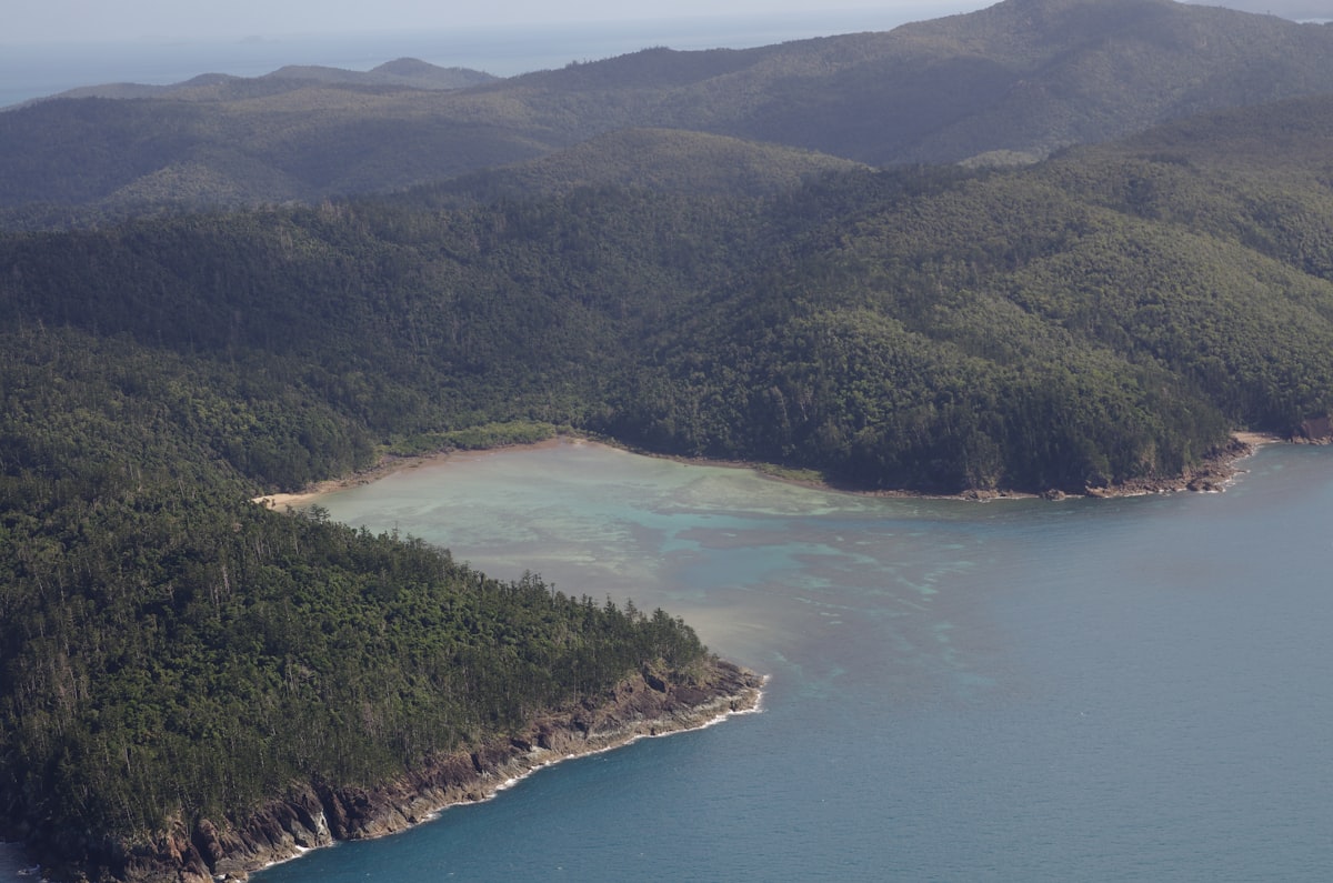 Hamilton Island yacht fleet in July dry-season trade winds
