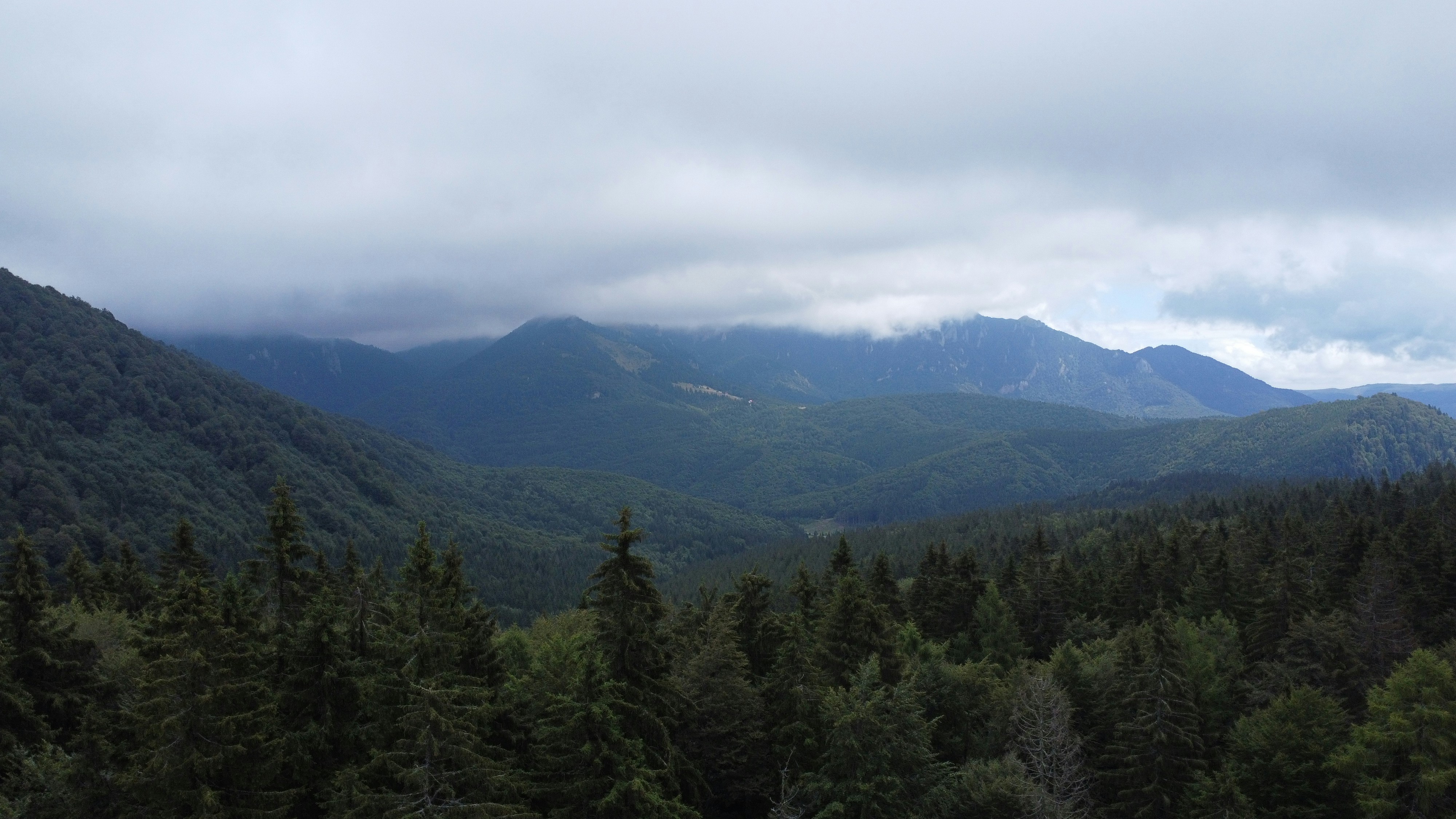 Photo by stefansworld