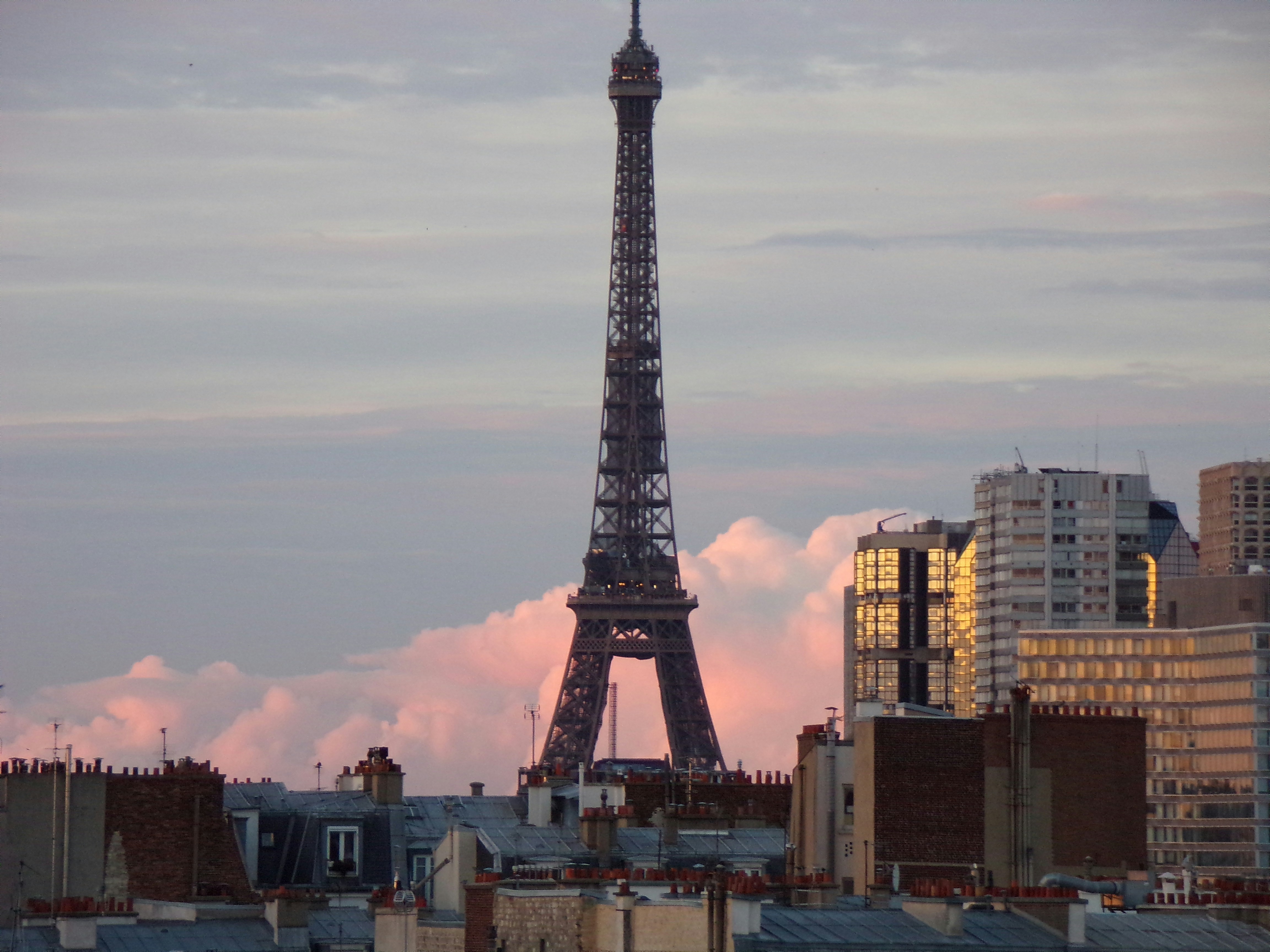 Photo by moonysquirrel