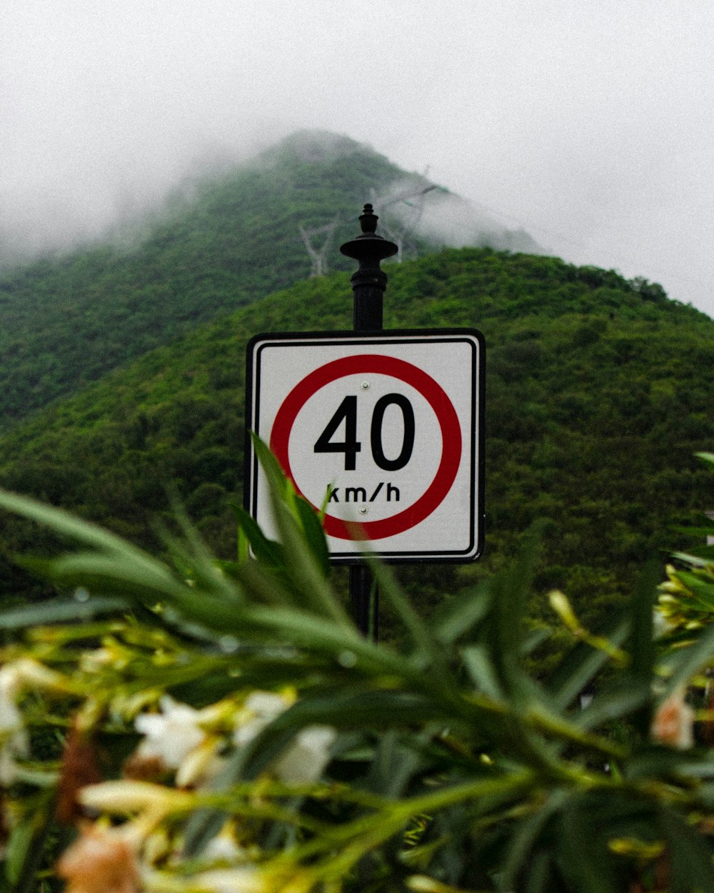 a sign in front of a mountain