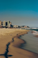 a beach with buildings in the background