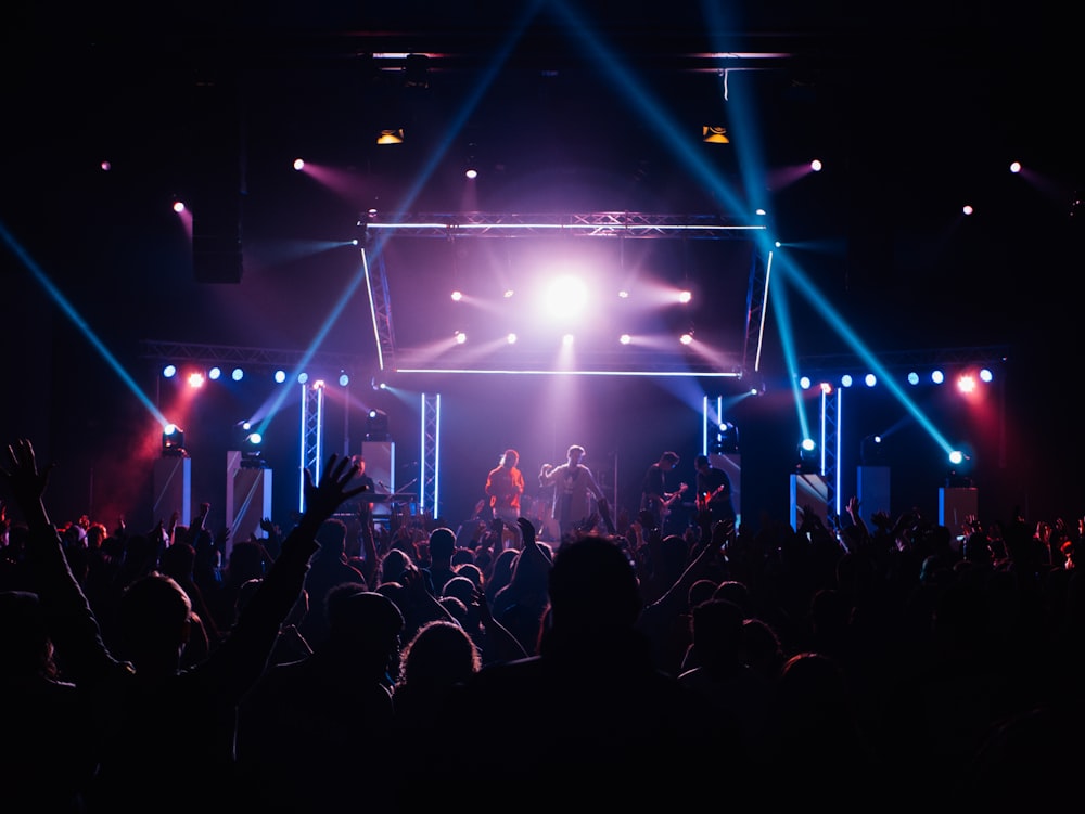 a crowd of people at a concert