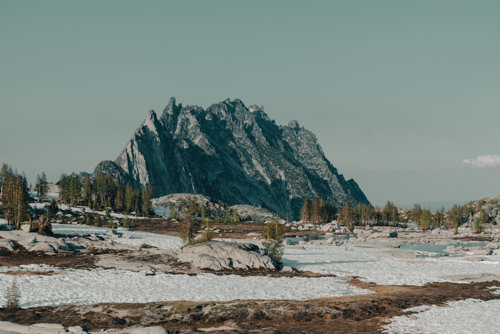 a snowy landscape with a mountain in the background