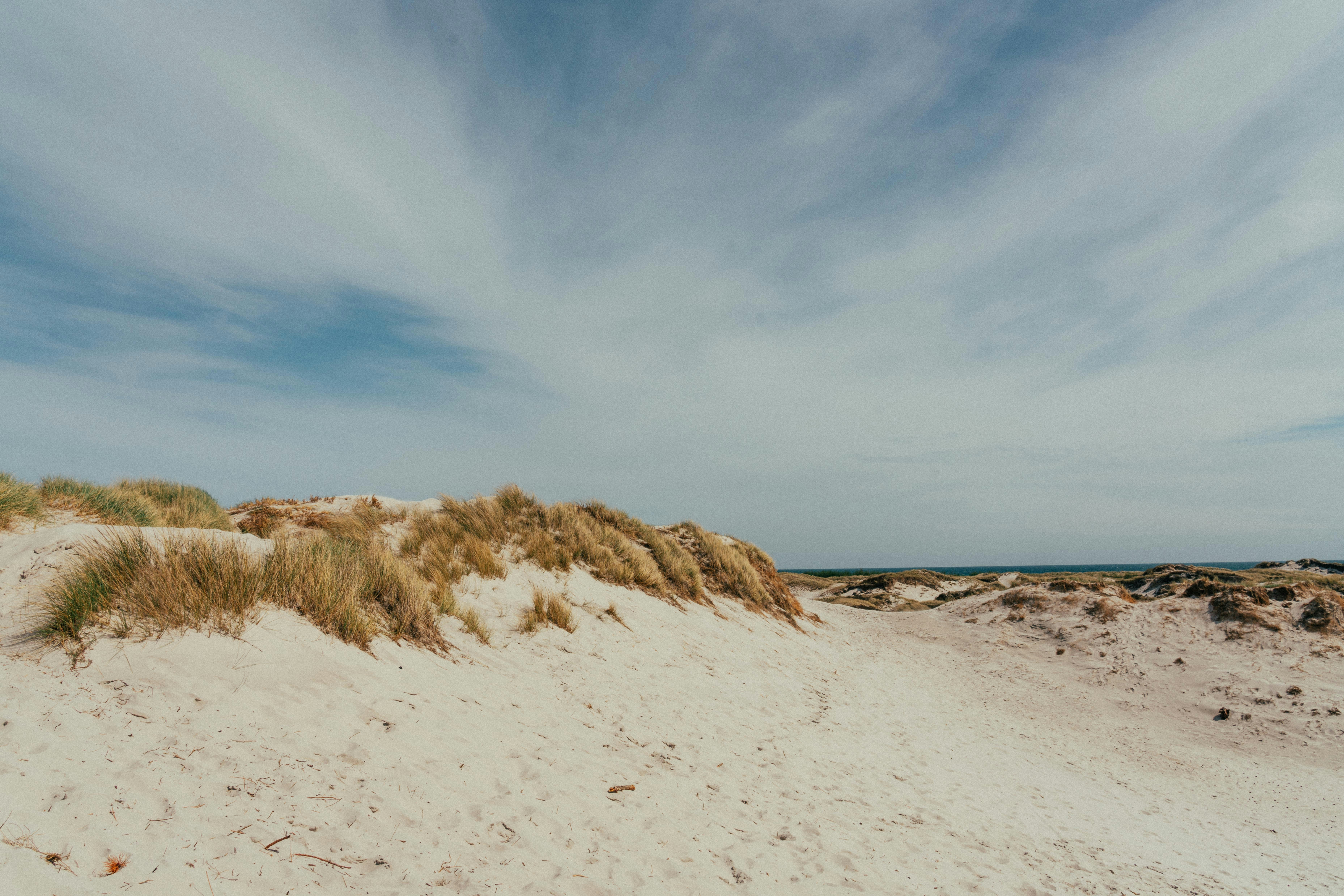 Photo by andreasdress