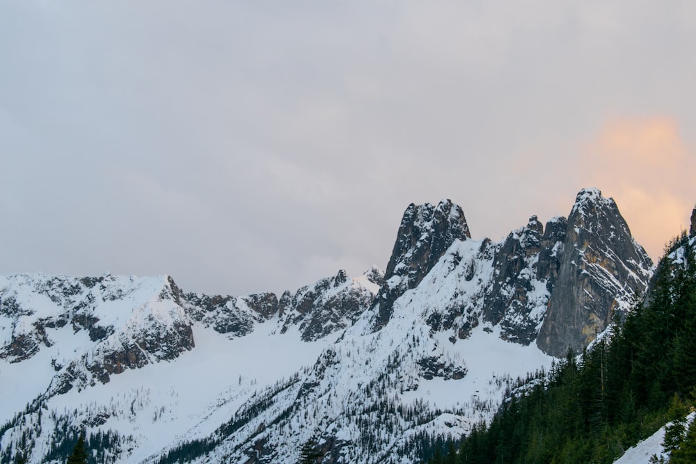 Une montagne enneigée avec des arbres