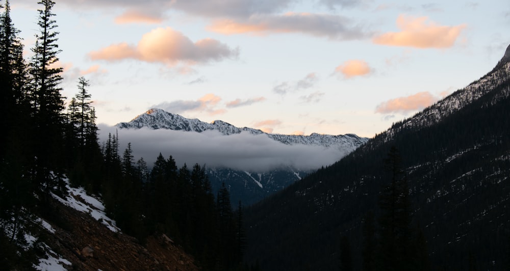 a snowy mountain range