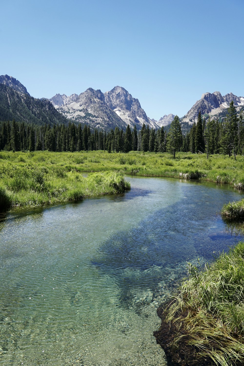 a river with grass and trees with mountains in the background