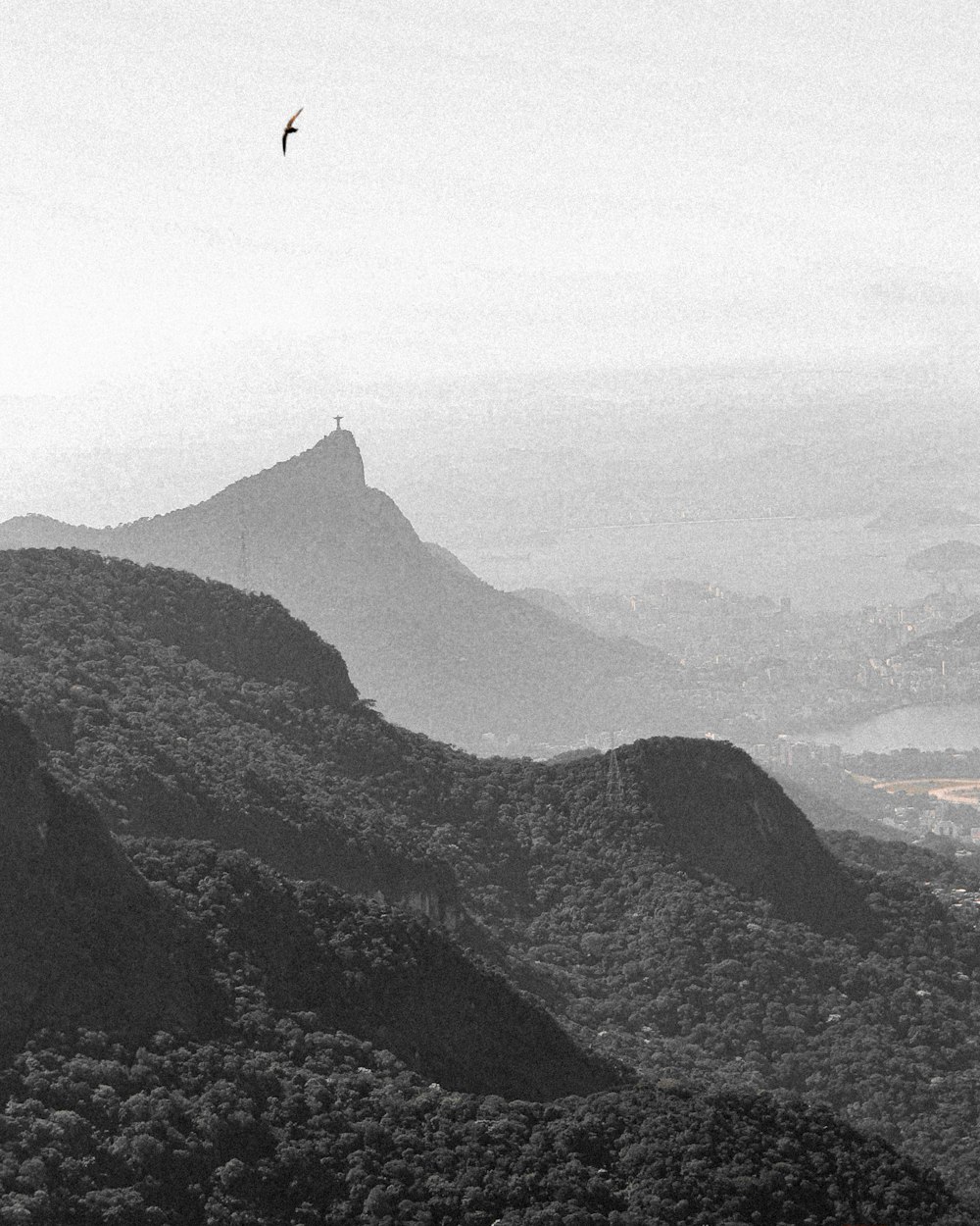 a person flying a kite