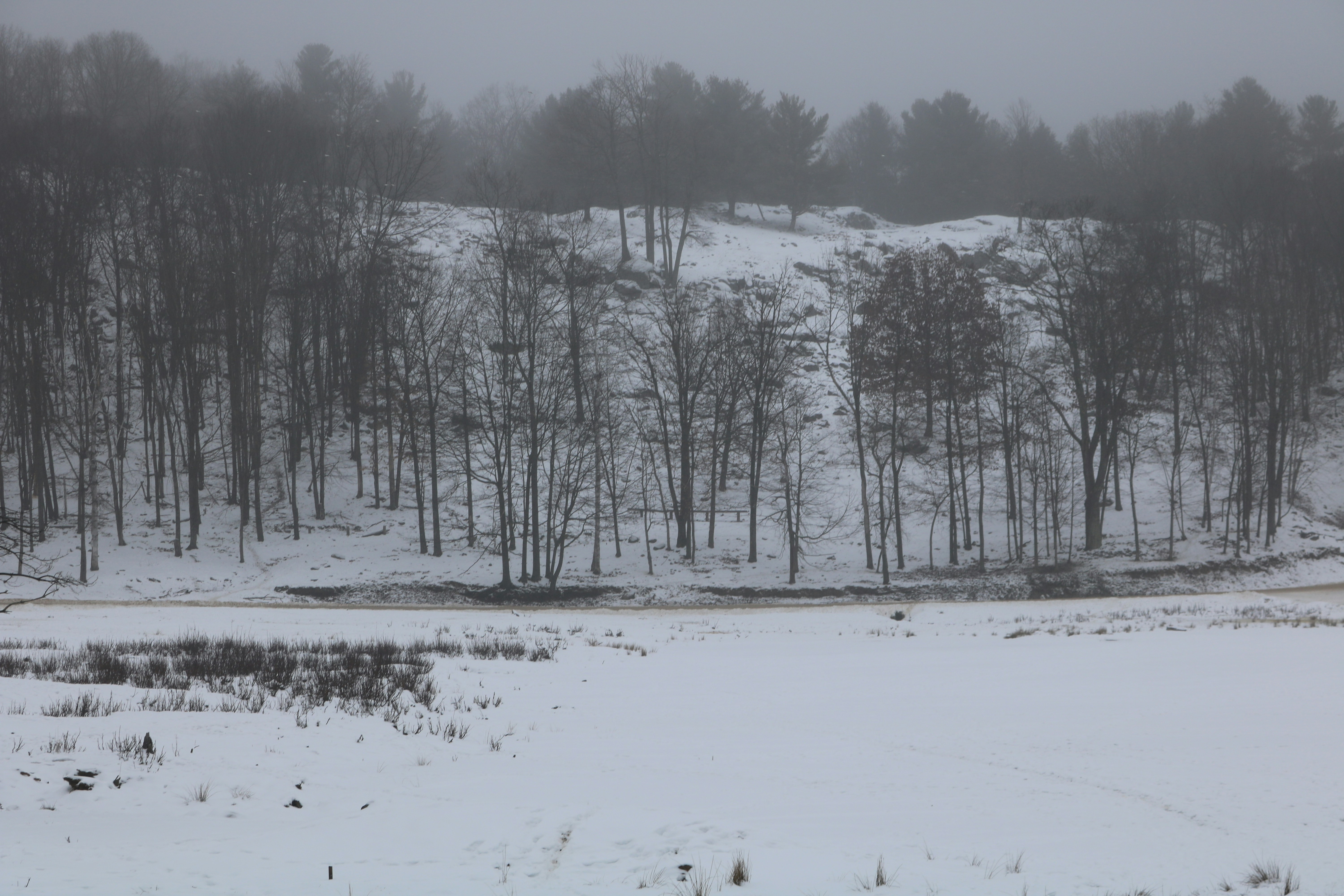 Photo by expertmarketingweb