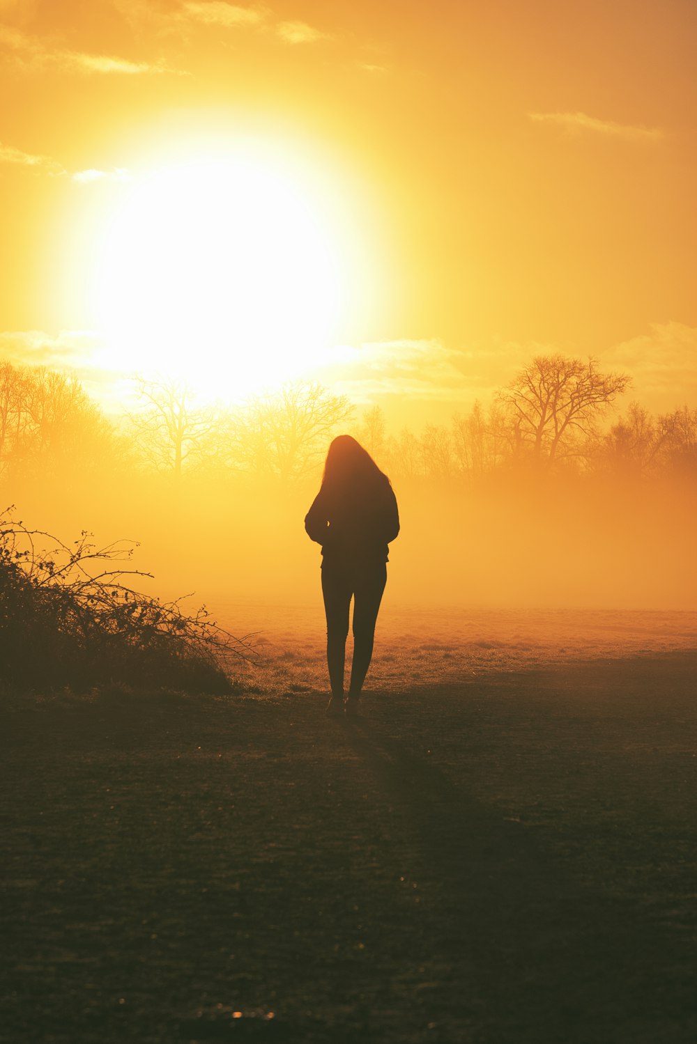 a person standing in a field with the sun setting behind them