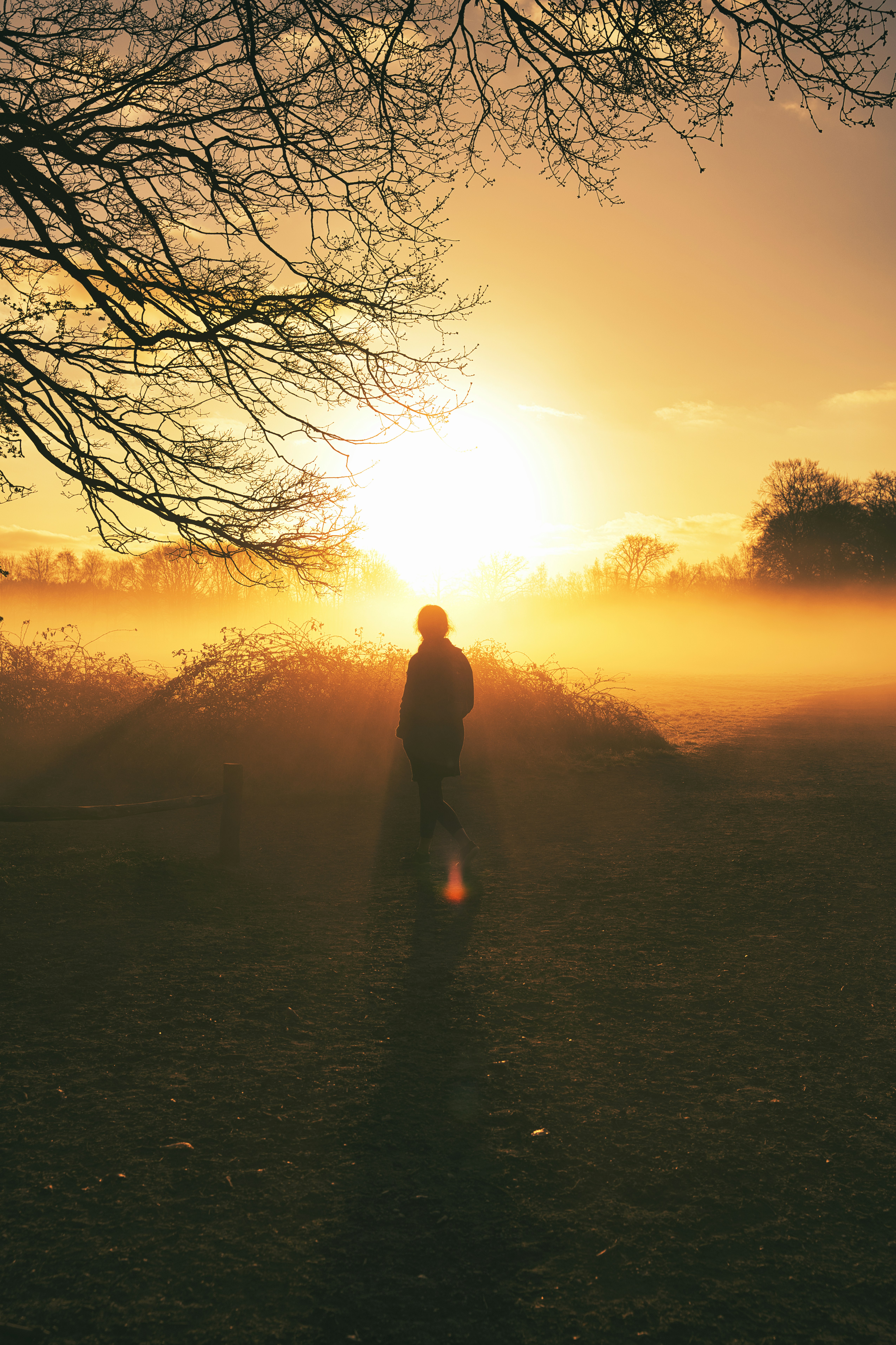 Photo by brotakesphotos