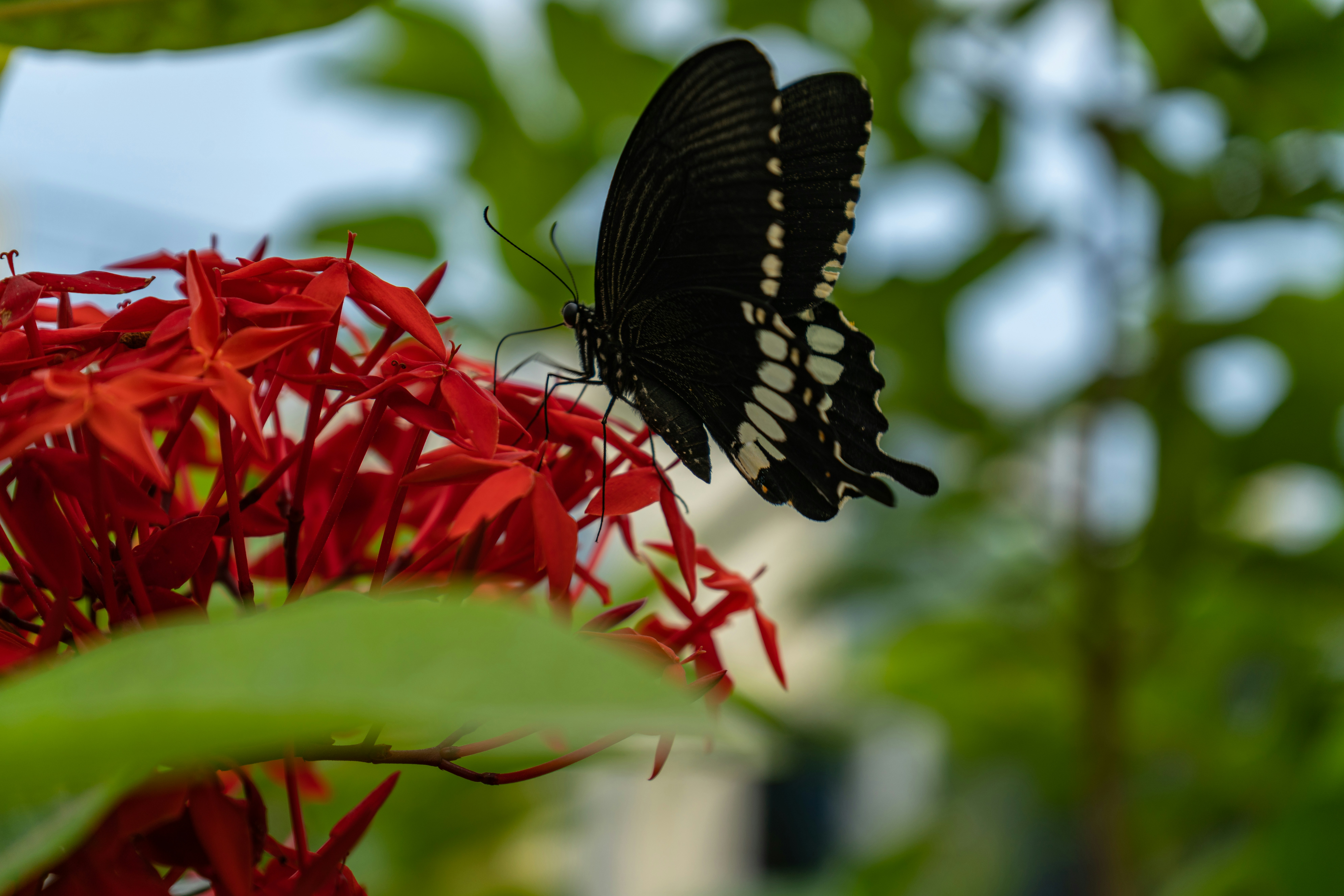 Photo by nagarjuna_reddy