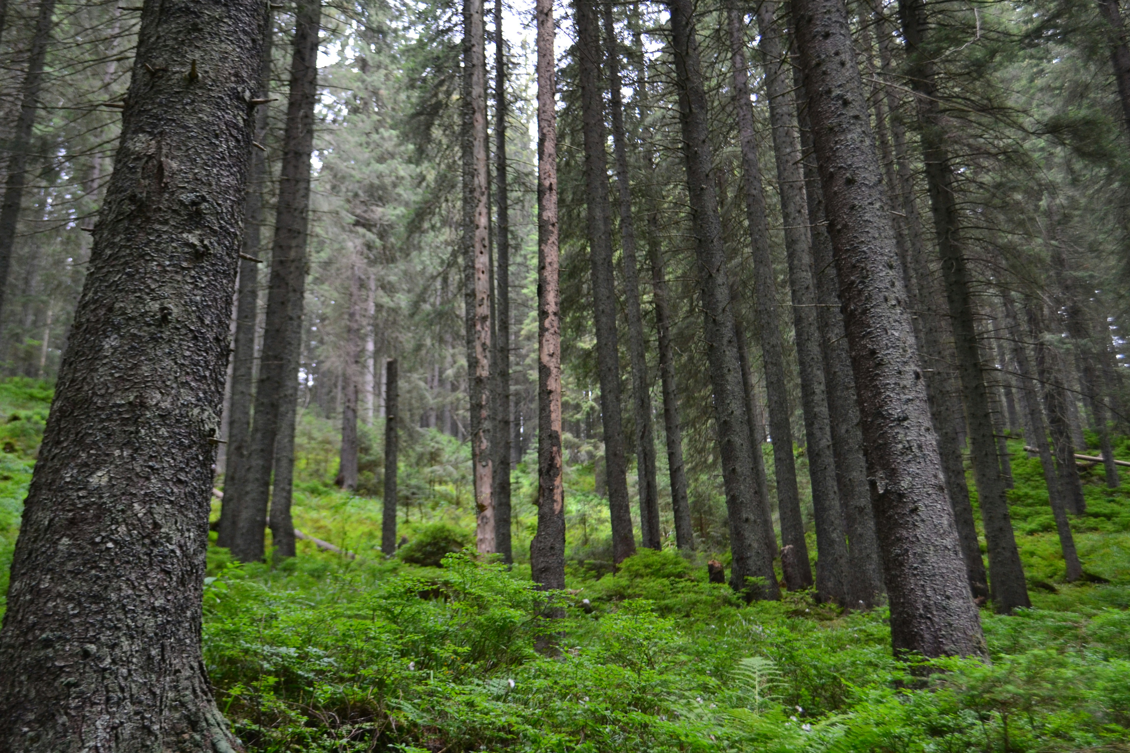 Photo by vlad_orient