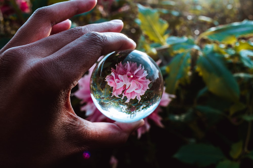 a hand holding a crystal ball