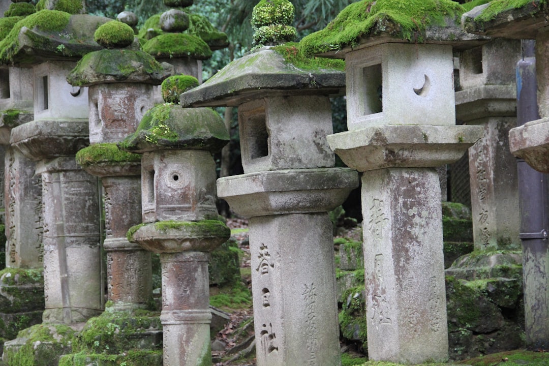a group of stone pillars,