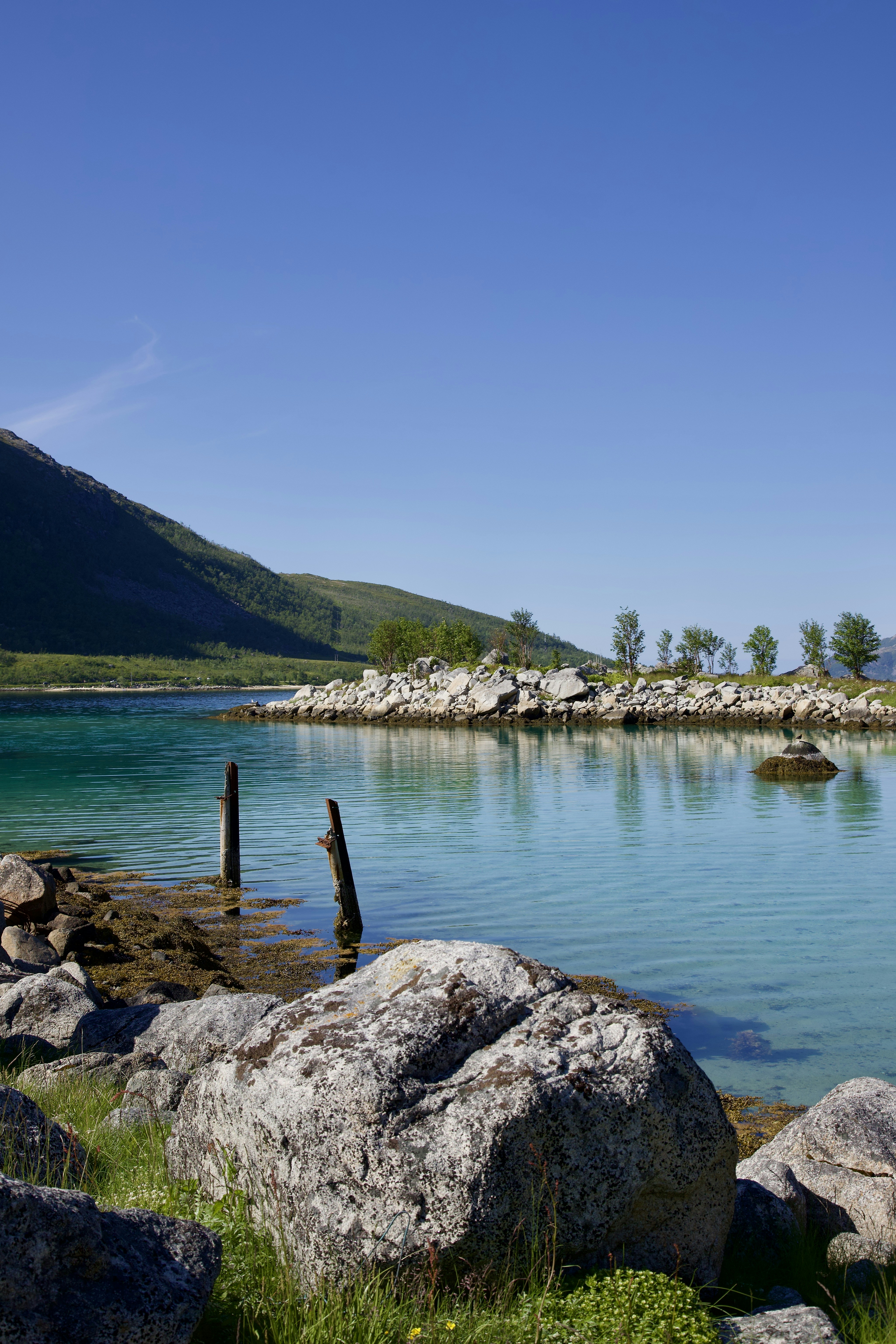 Photo by stockbirken