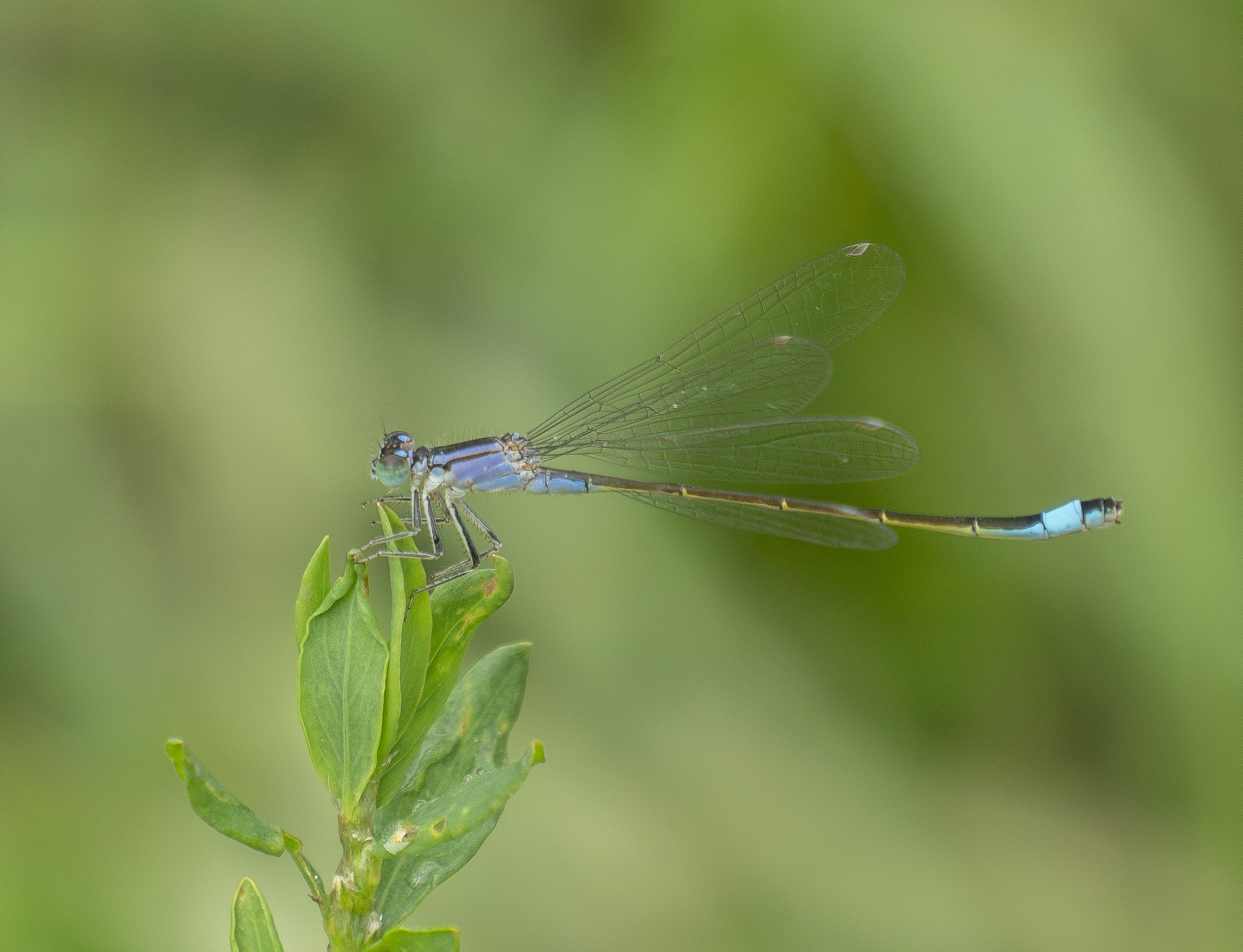 Photo by angrygrandmama