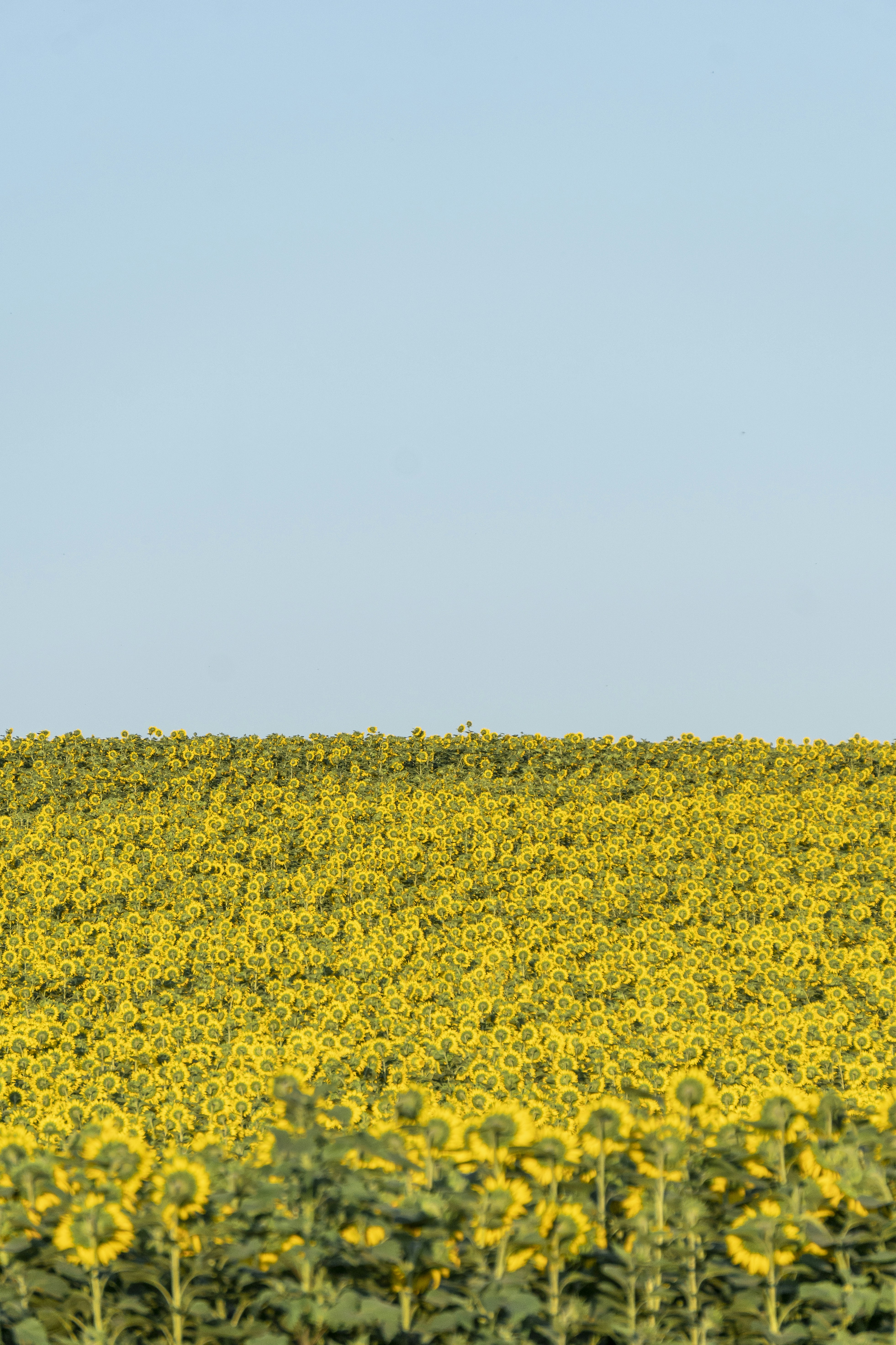 Photo by angrygrandmama