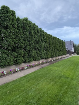 A neatly manicured green lawn stretches in the foreground, bordered by a path and a floral arrangement of colorful flowers. Behind the path, there is a dense line of tall, lush coniferous trees creating a natural fence. In the distance, a modern-looking house with a grey roof sits against a cloudy sky.
