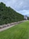A neatly manicured green lawn stretches in the foreground, bordered by a path and a floral arrangement of colorful flowers. Behind the path, there is a dense line of tall, lush coniferous trees creating a natural fence. In the distance, a modern-looking house with a grey roof sits against a cloudy sky.