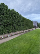 A neatly manicured green lawn stretches in the foreground, bordered by a path and a floral arrangement of colorful flowers. Behind the path, there is a dense line of tall, lush coniferous trees creating a natural fence. In the distance, a modern-looking house with a grey roof sits against a cloudy sky.