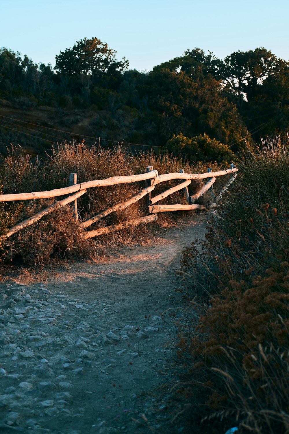 a wooden bridge over a river