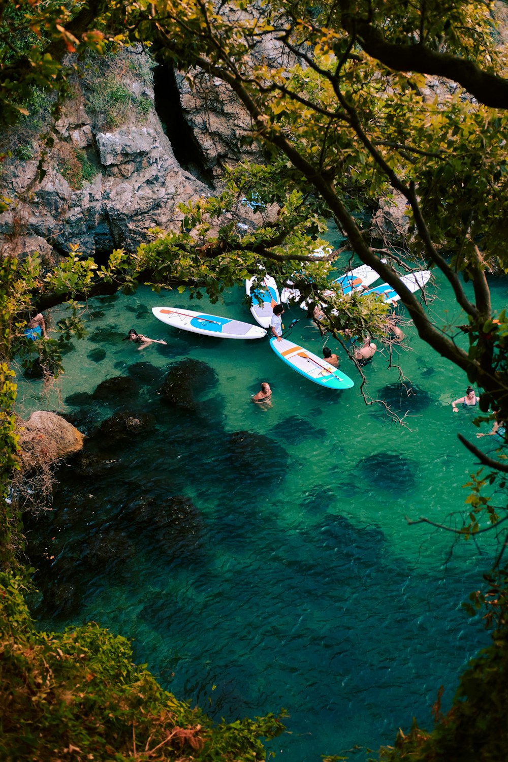 people on boats in a river