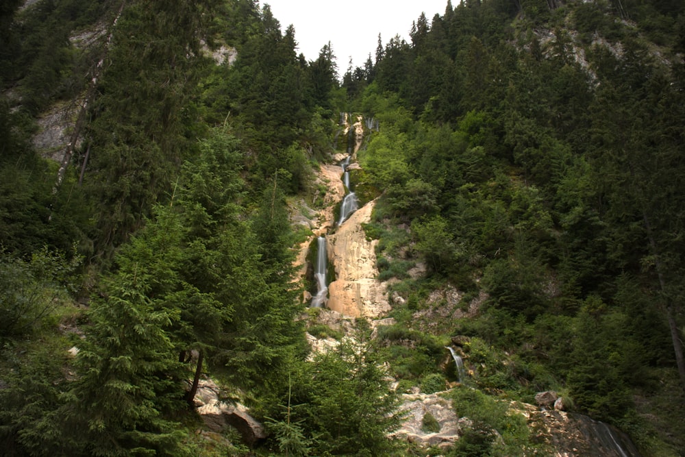 森の中の大きな滝