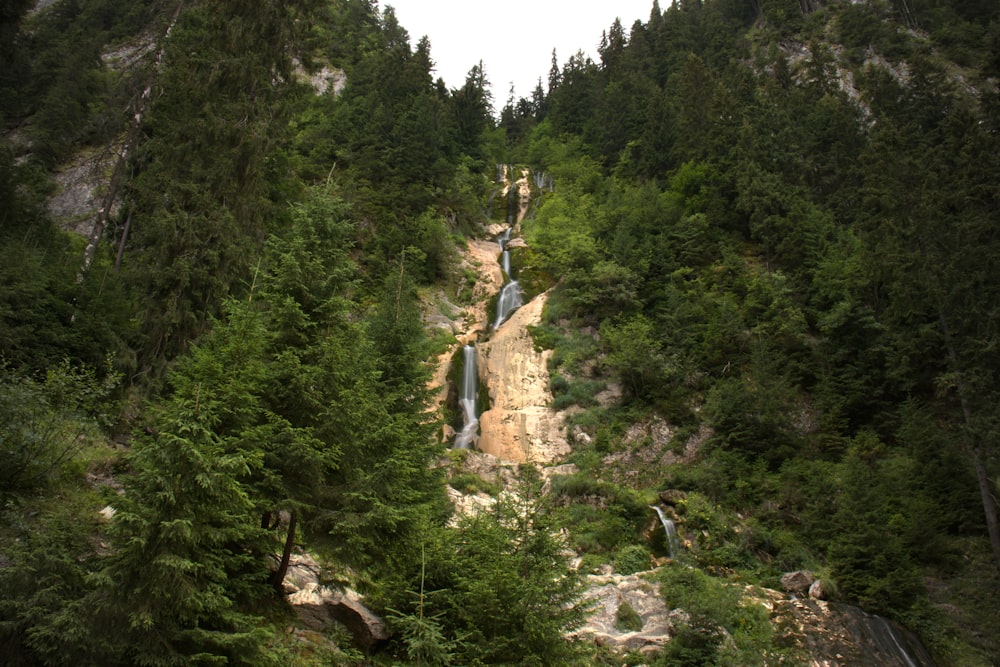 a large waterfall in a forest