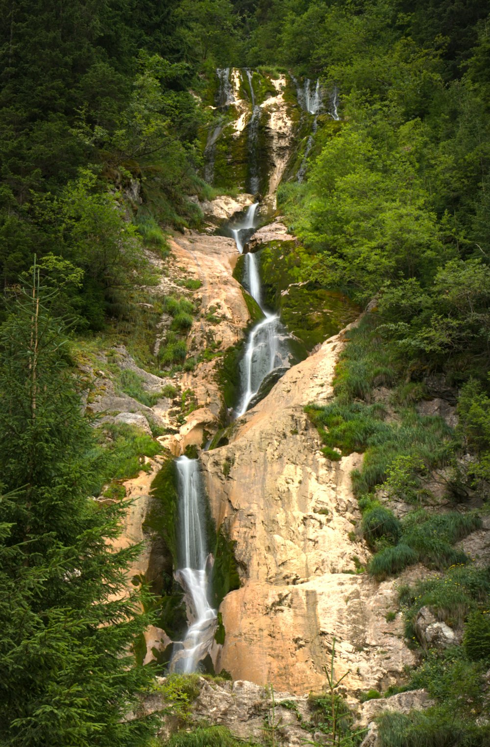 a waterfall in a forest