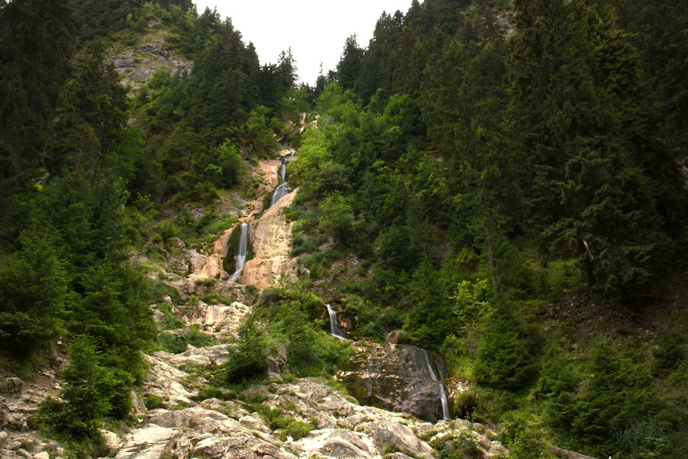 a rocky cliff with trees on it