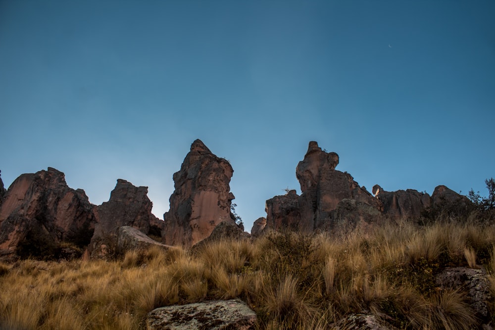 a group of tall rocks in a grassy area