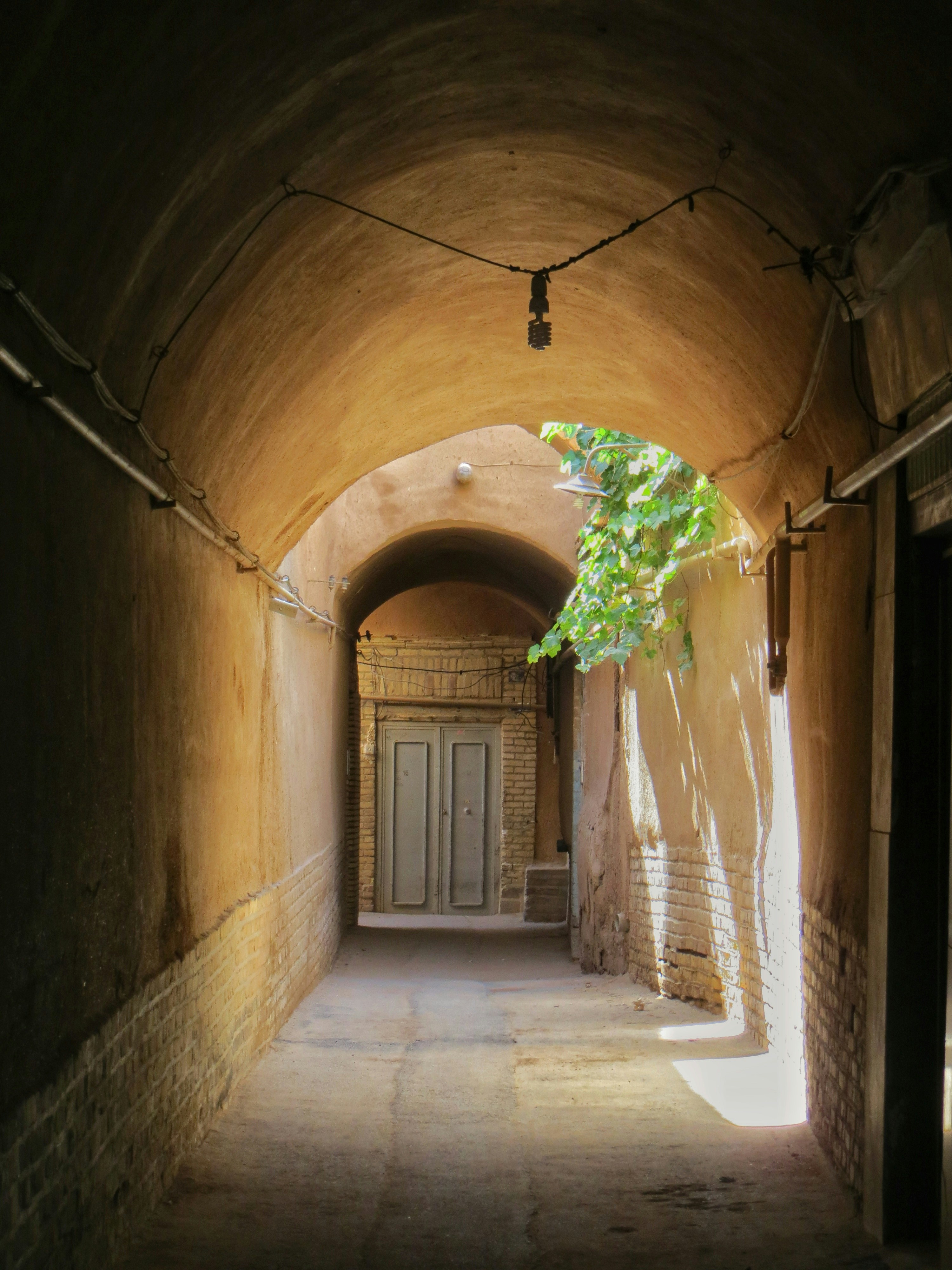 Photo by amirhusseinhooshangi