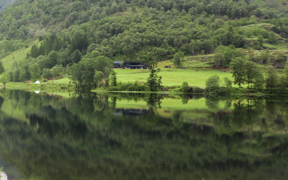 a lake surrounded by trees and grass