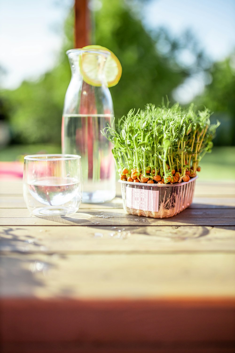 un bocal en verre avec une plante dedans et un verre avec un liquide dedans